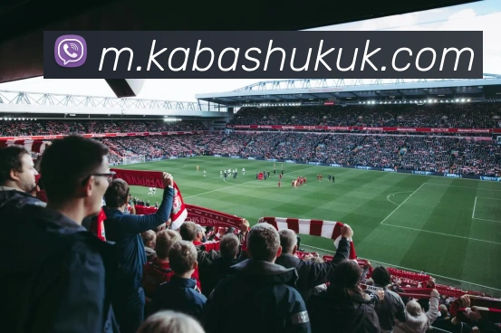 互动解说服务